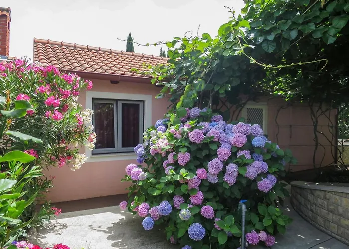 Prázdninový dům Catarina 1 By Interhome Zadar
