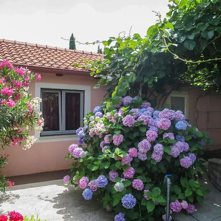 Holiday home Catarina 1 By Interhome Zadar